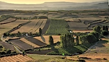 Enoturismo La Rioja