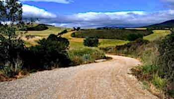 Enoturismo La Rioja