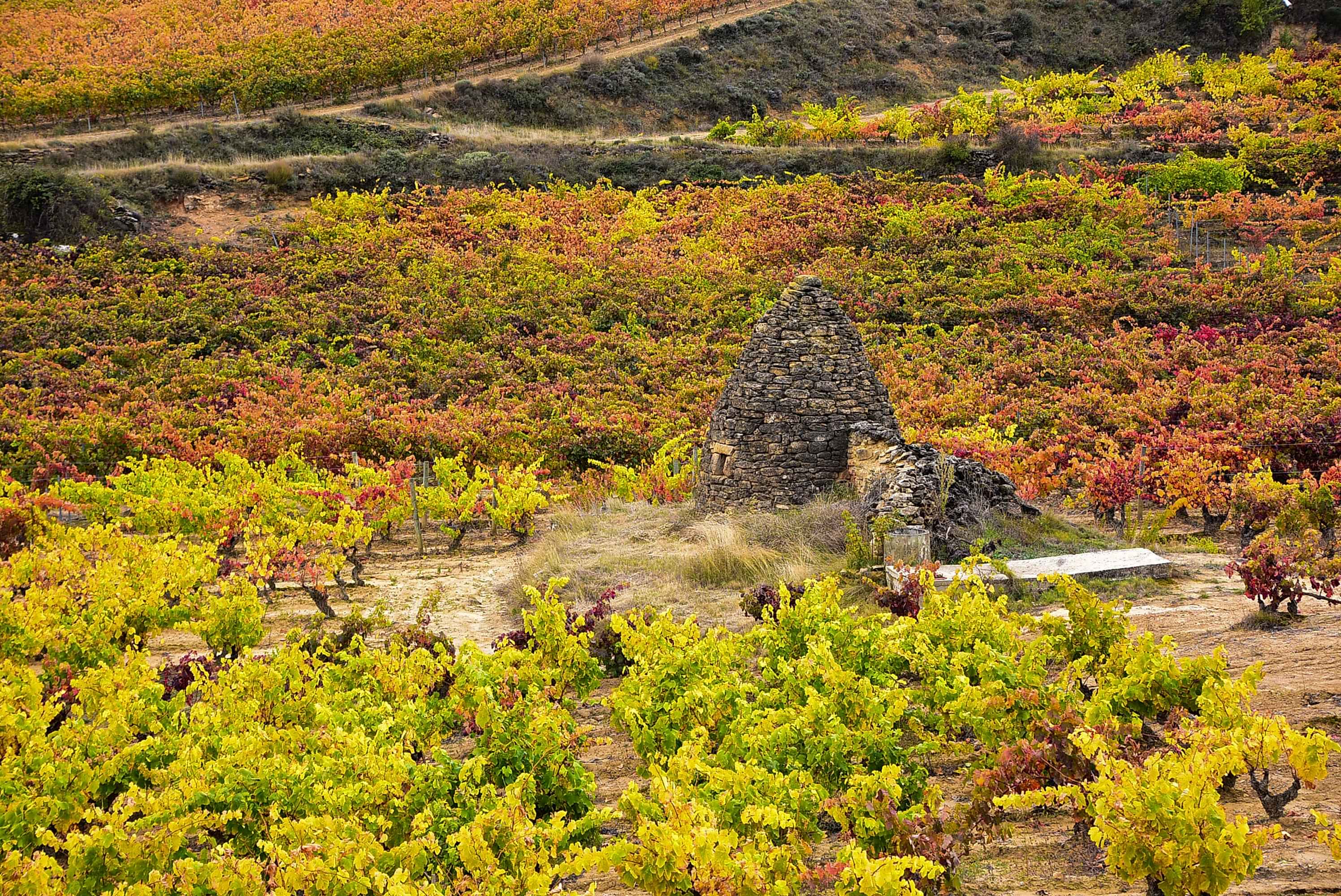 La Rioja Turismo