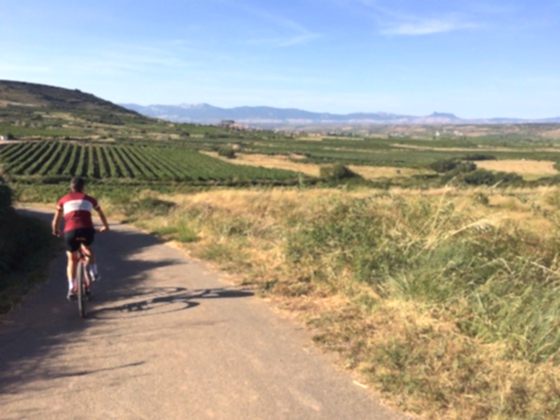 Rioja en Bicicleta / Alquiler de Bicicletas en Rioja