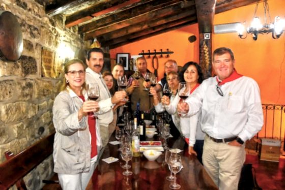 Chófer Privado en Rioja