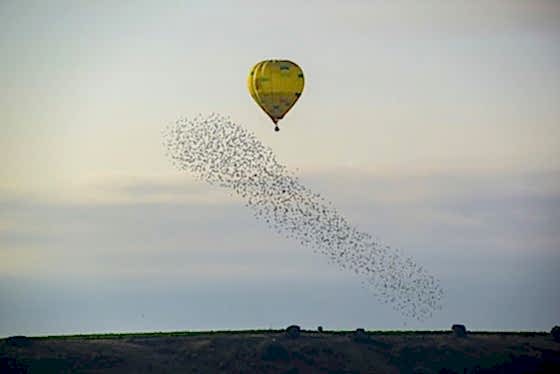 Hot Air Ballooning in Rioja. Hot Air Balloon Ride Rioja Hot Air Balloon Rioja