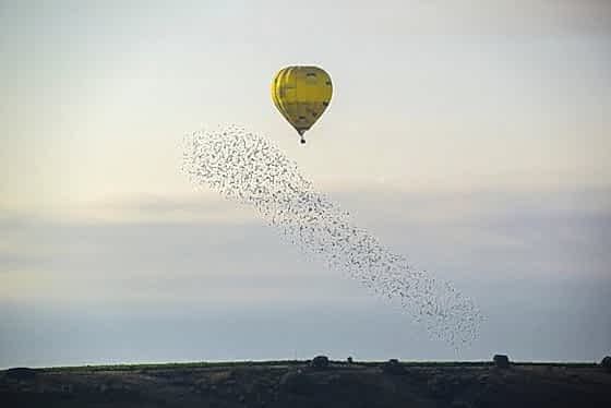 Vuelo en Globo en Rioja. Paseo en Globo Rioja. Viaje en Globo Rioja