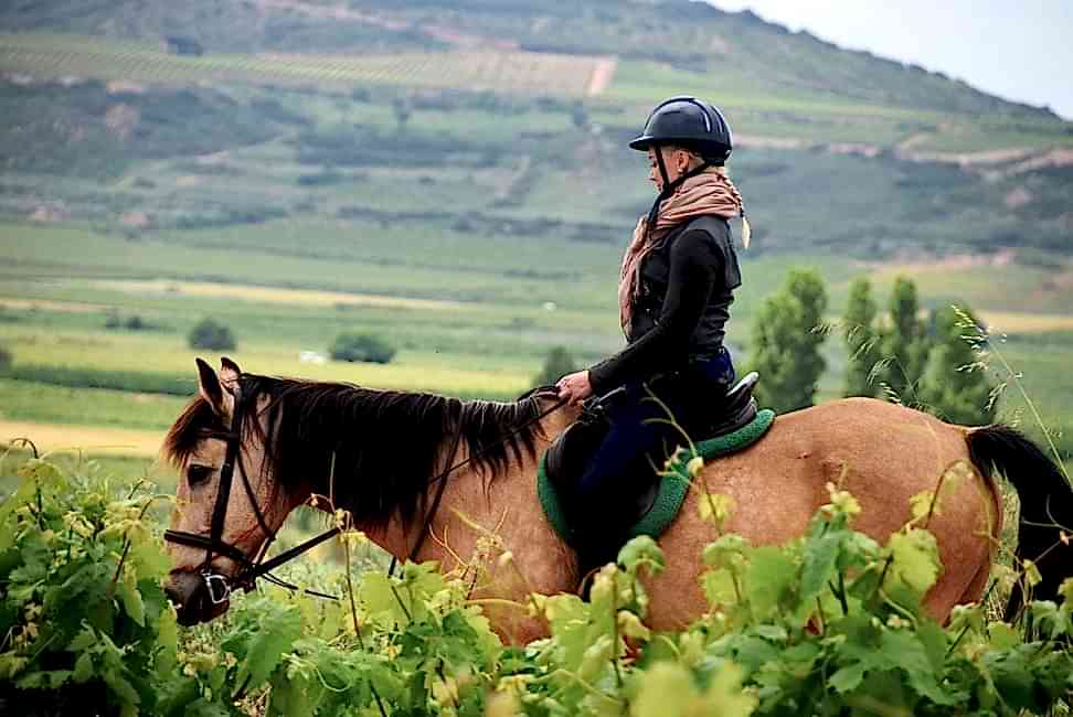 Rioja a Caballo / Paseo a caballo en Rioja