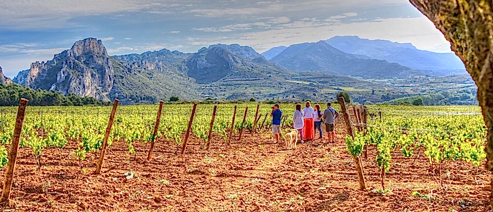 Rioja and Ribera del Duero Wine Tours