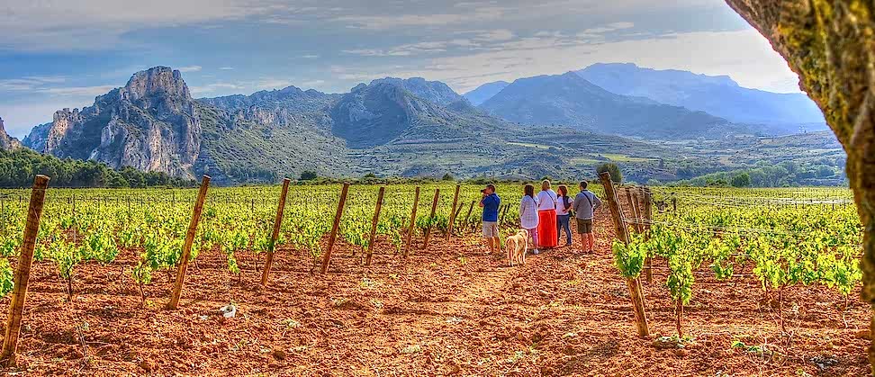 Tours en Rioja y Ribera del Duero