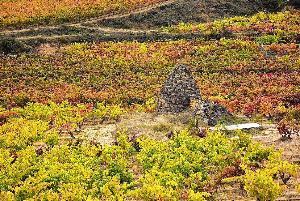 Rioja and Ribera del Duero Wine Tours