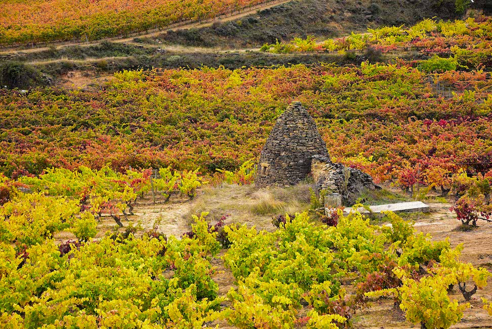 Tours en Rioja y Ribera del Duero