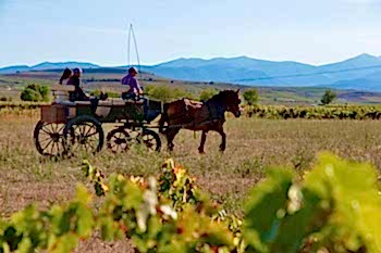 enoturismo La Rioja - Paseo en carruaje 