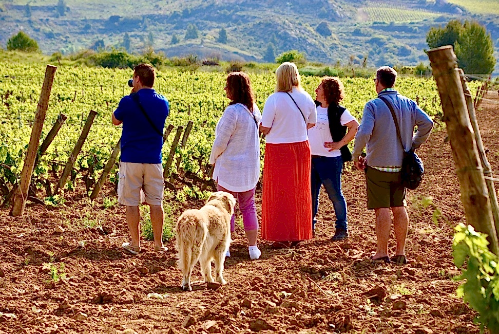 Rioja Wine Trips