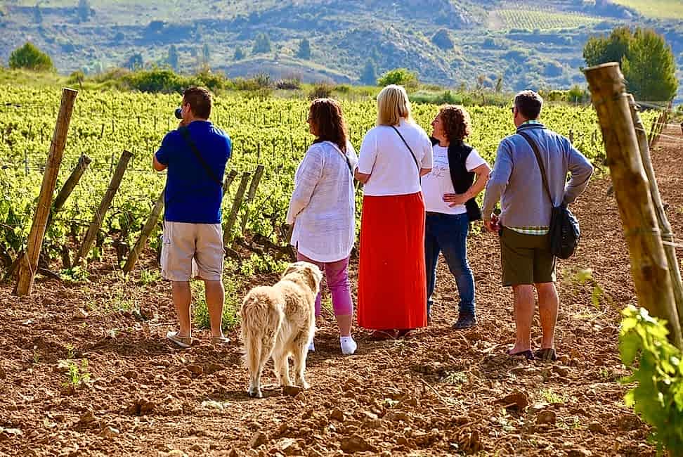 Turismo del Vino en La Rioja