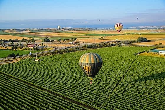 Wine Tours Rioja Spain