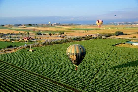 visitas guiadas La Rioja