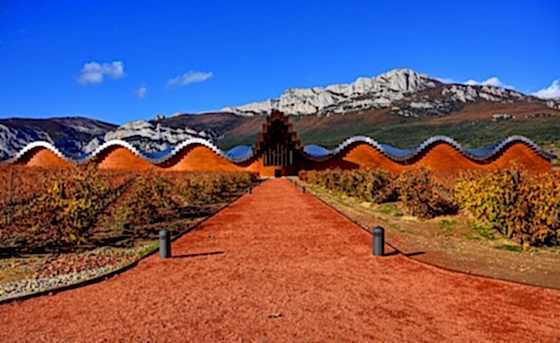 Rioja Wine Trips