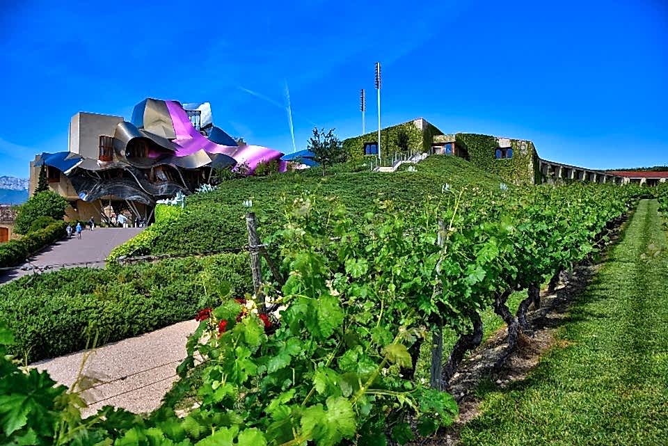 best Rioja wine tours